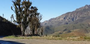 Koo Valley