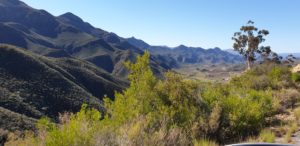 Koo Valley
