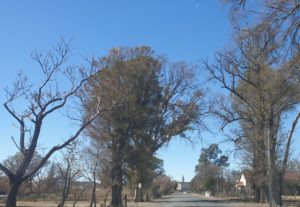 Petrusville