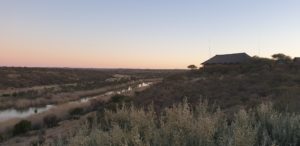 Lilydale, Mokala
