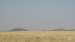 Mokala