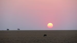 Mokala