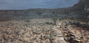 Magersfontein Battlefield