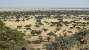 Magersfontein Battlefield
