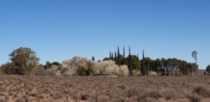 Farm between Loxton and Fraserburg