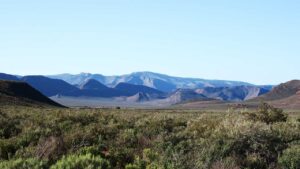 Read more about the article Gecko Rock Private Game Reserve
