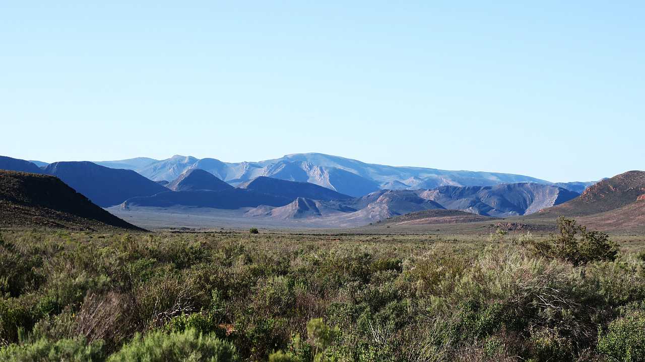 Read more about the article Gecko Rock Private Game Reserve