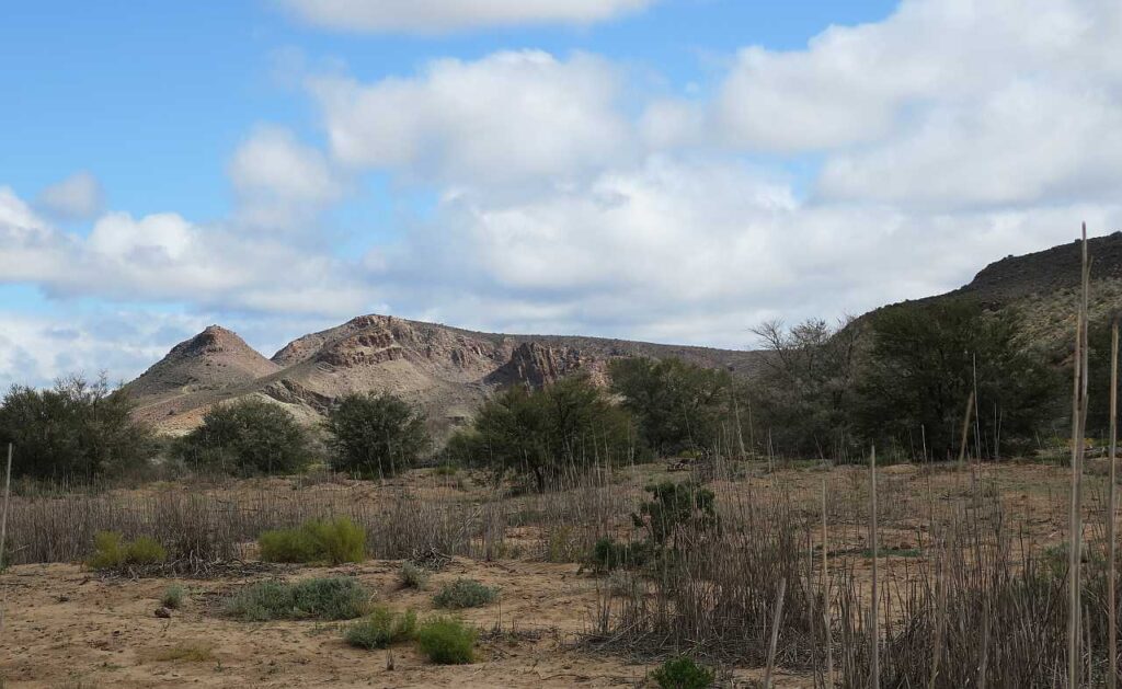 Road to Barrydale