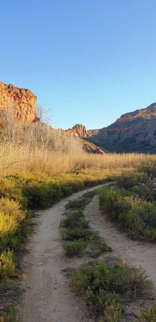 Red Hills off Kruis River Rd