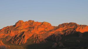 Read more about the article Red Stone Hills Guest Farm