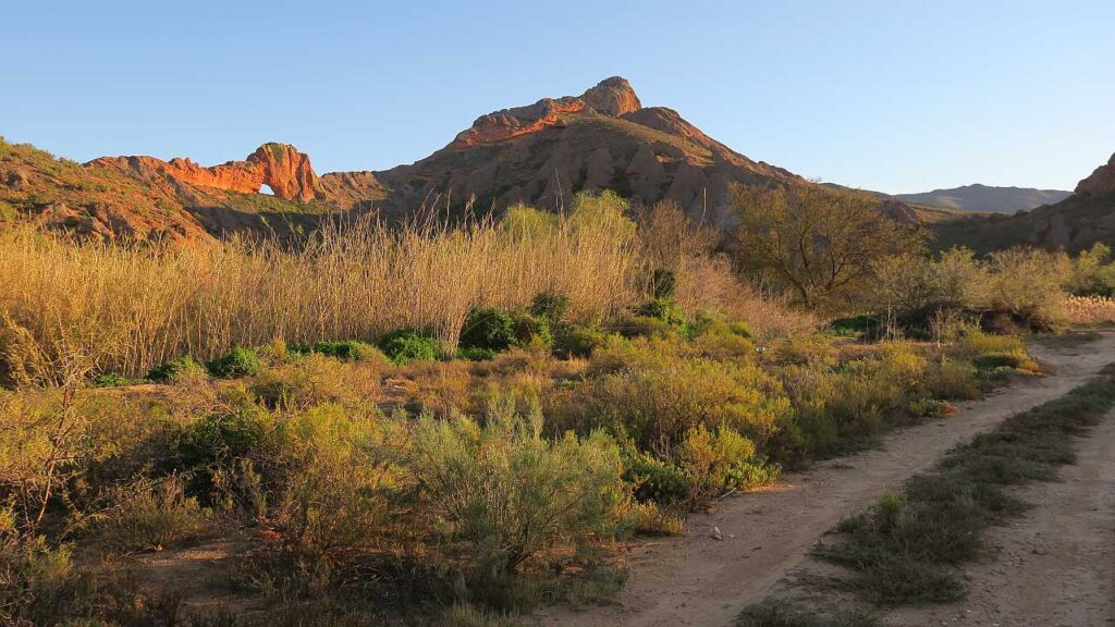 Red Hills off Kruis River Rd