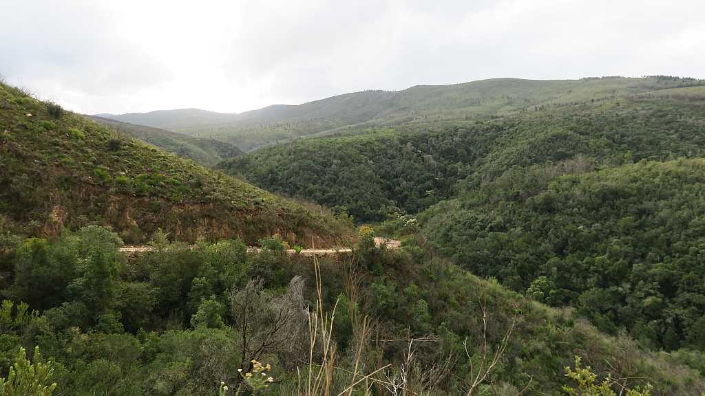 Prince Alfred Pass from De Vlugt to Knysna