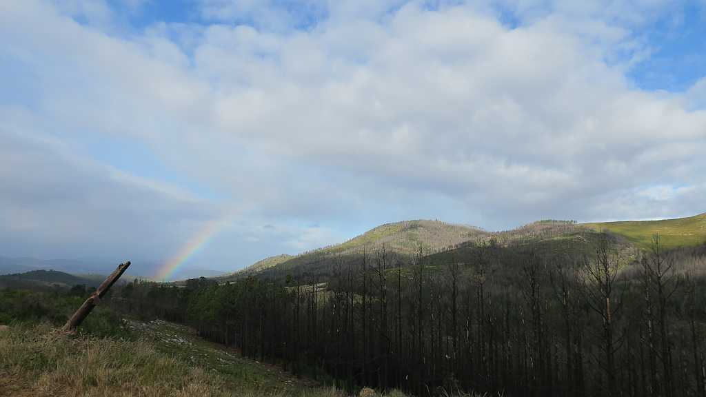 Prince Alfred Pass from De Vlugt to Knysna