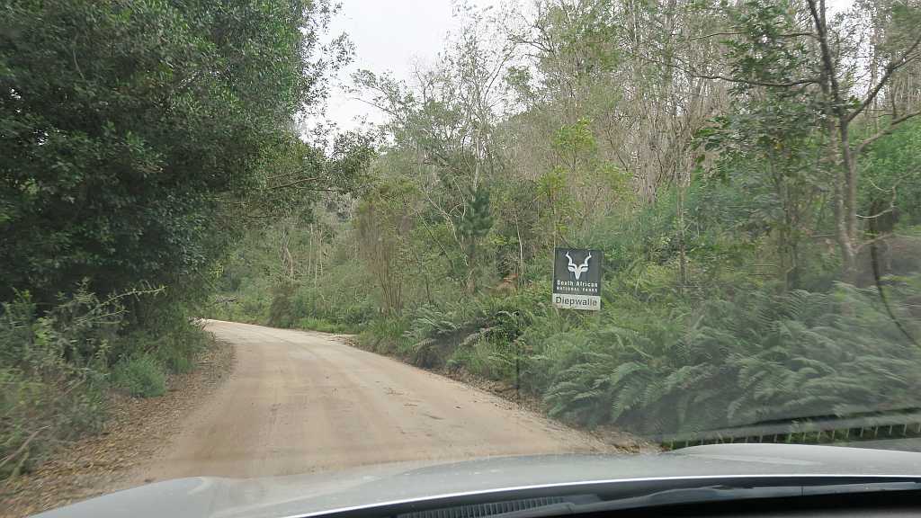 Prince Alfred Pass entering Knysna forests