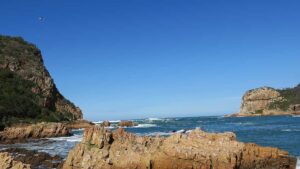 Read more about the article Knysna