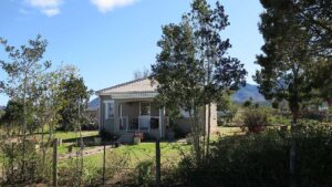 Read more about the article Karatara