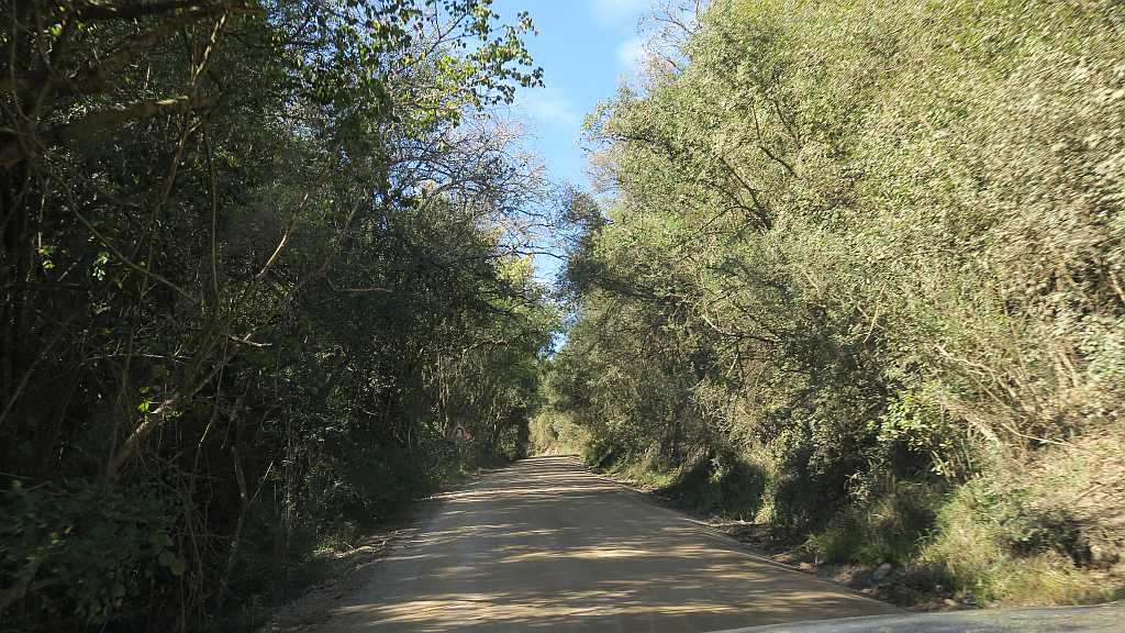 Between Karatara and Rheenendal