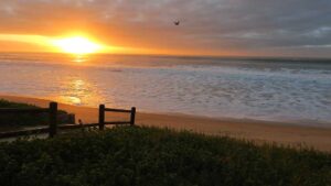 Read more about the article Hartenbos