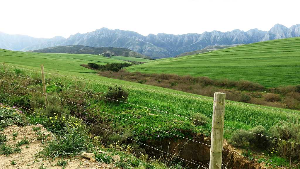 Near Greyton
