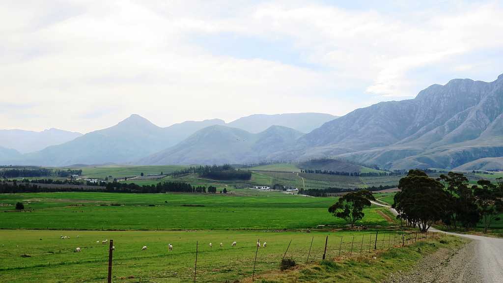 Near Greyton