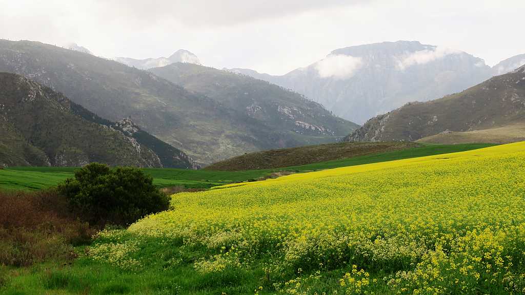 Near Greyton