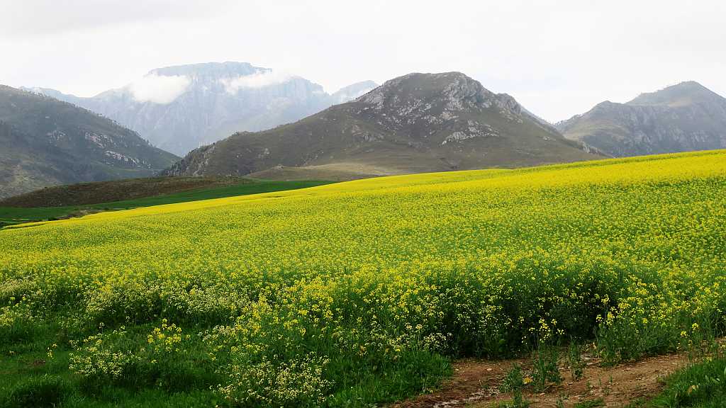 Near Greyton