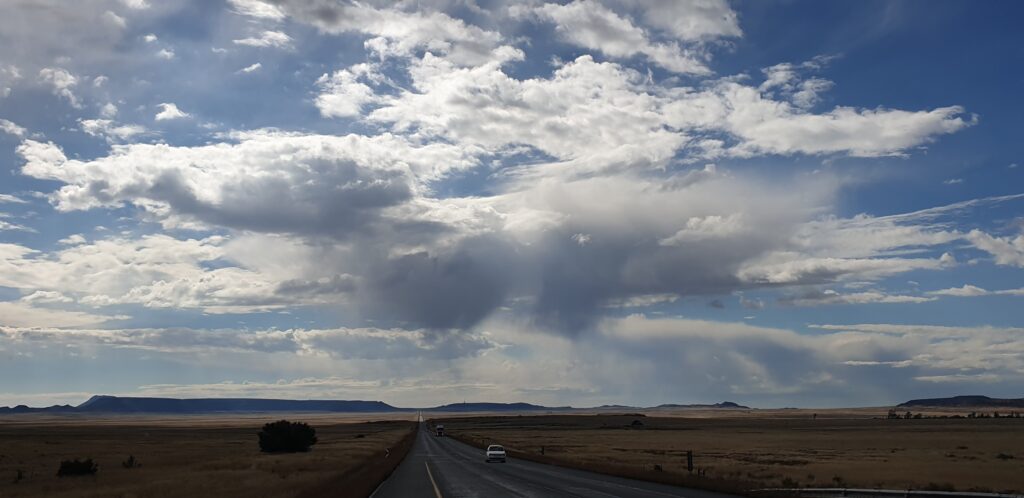 N1 in Karoo