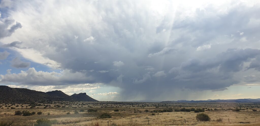 N1 in Karoo