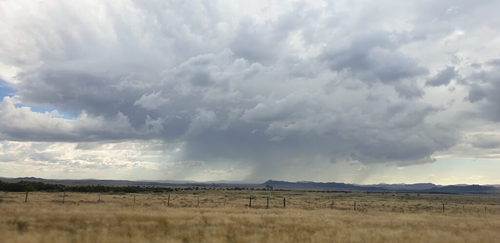 N1 in Karoo