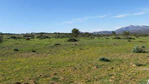 Namakwa National Park