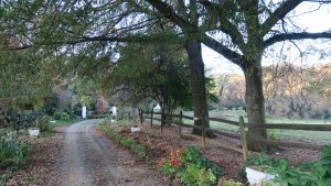 Flitwick Ranch