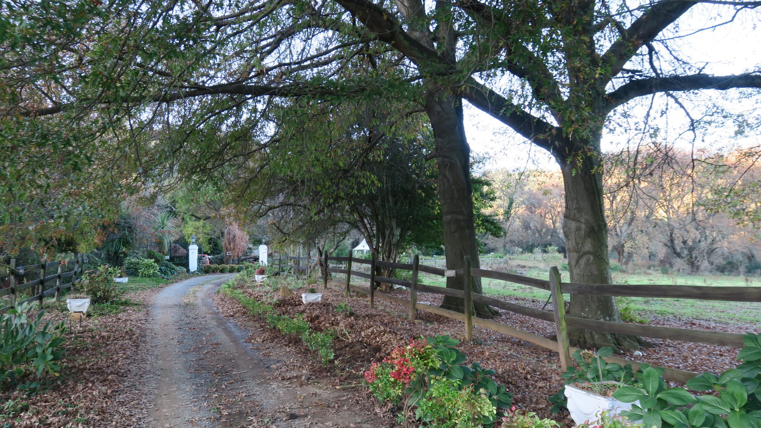 Read more about the article Flitwick Ranch