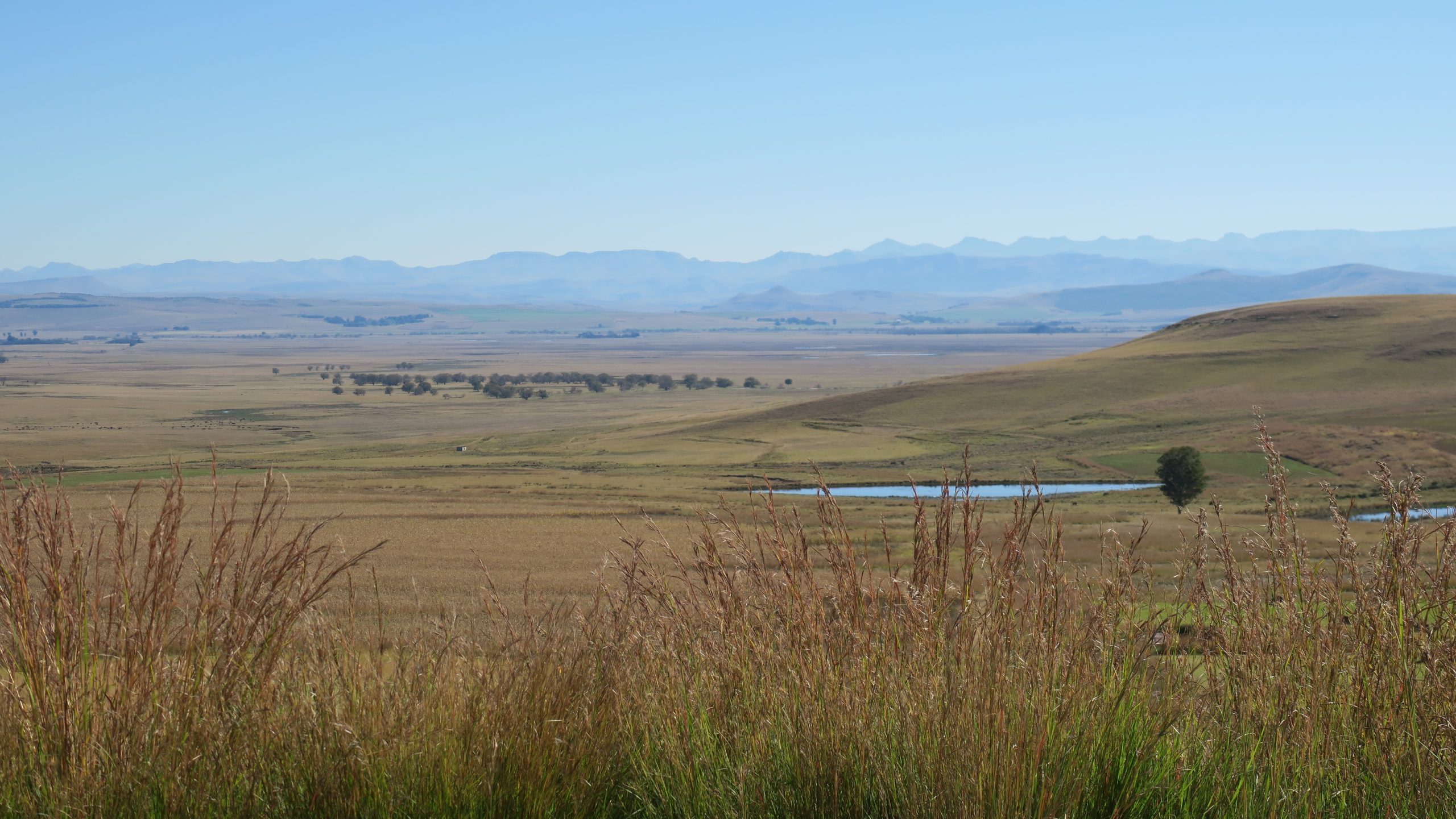 Read more about the article Nqanqarhu (Maclear)