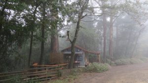 Hogsback