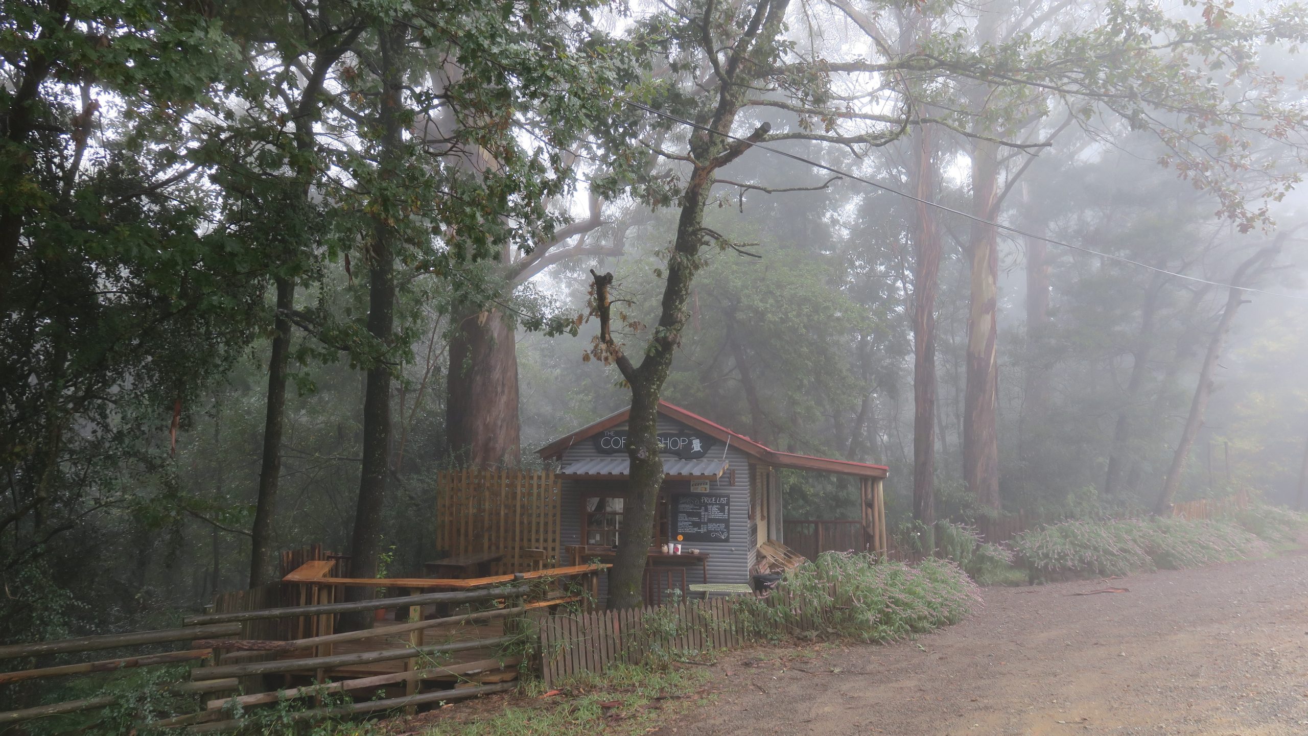 Read more about the article Hogsback